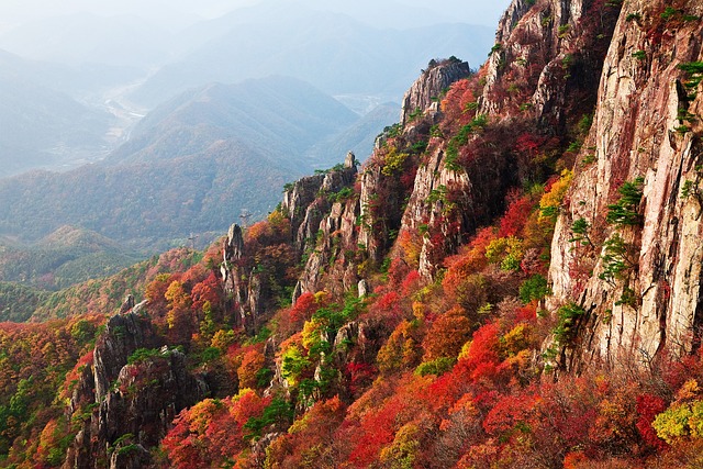 山、紅葉