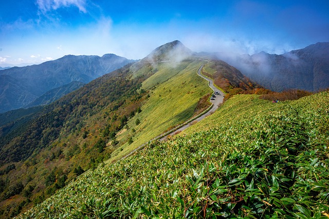 山、風景画