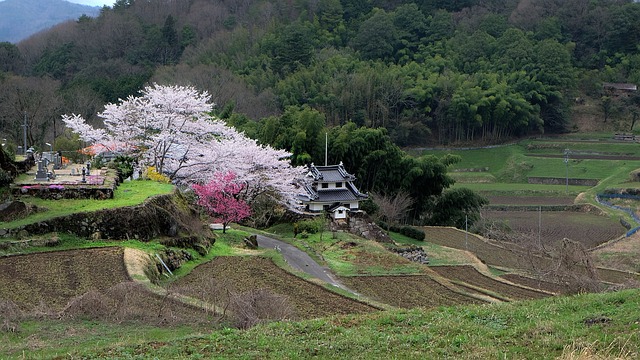 日本の田舎、農村